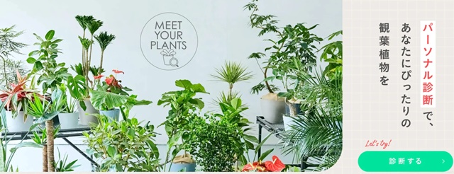 パーソナル植物診断